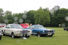 BofS-71-94-Paul-Fix-1966-Shelby-_-Paul-Fix-1966-Shelby-GT350-Class-16-1rst