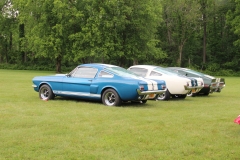 Class-16-Mustangs